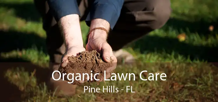 Organic Lawn Care Pine Hills - FL