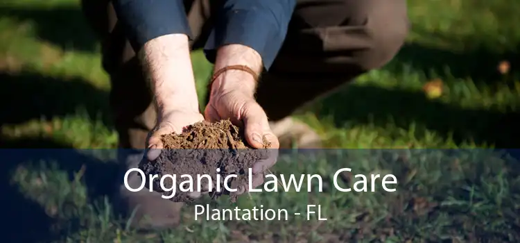 Organic Lawn Care Plantation - FL