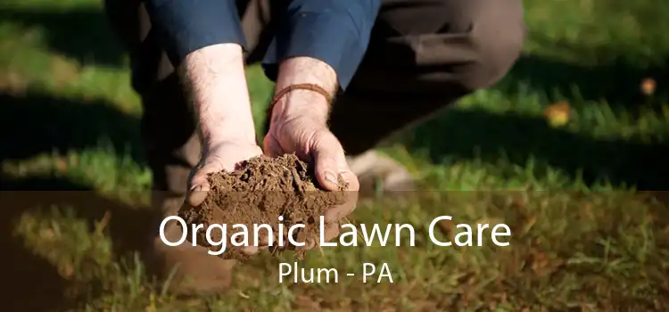 Organic Lawn Care Plum - PA