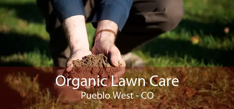 Organic Lawn Care Pueblo West - CO