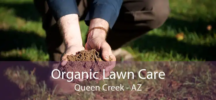 Organic Lawn Care Queen Creek - AZ