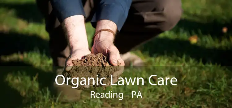 Organic Lawn Care Reading - PA