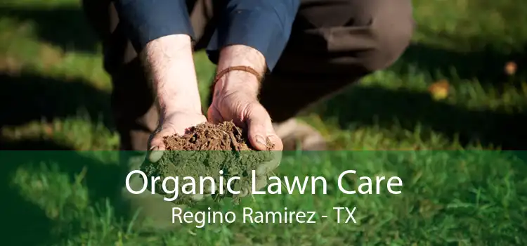 Organic Lawn Care Regino Ramirez - TX