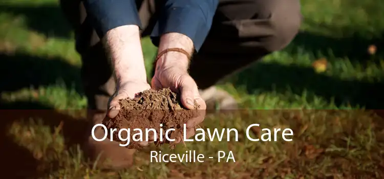 Organic Lawn Care Riceville - PA