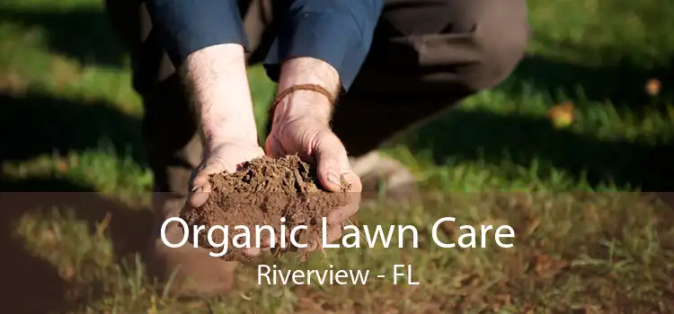Organic Lawn Care Riverview - FL
