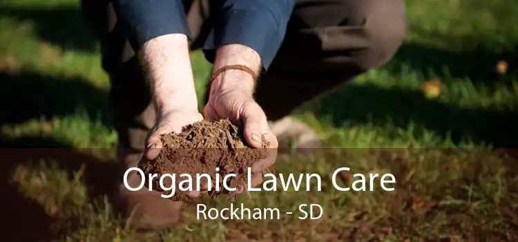 Organic Lawn Care Rockham - SD