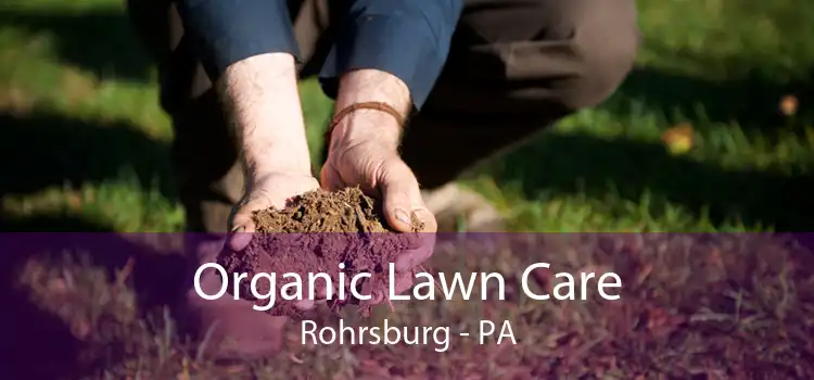 Organic Lawn Care Rohrsburg - PA