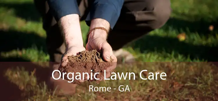  Organic Lawn Care Rome - GA