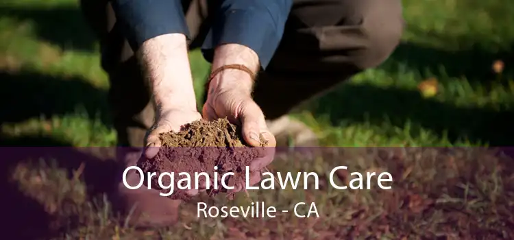 Organic Lawn Care Roseville - CA