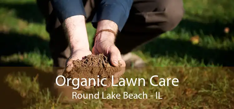 Organic Lawn Care Round Lake Beach - IL