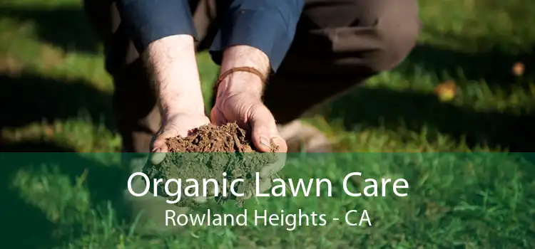 Organic Lawn Care Rowland Heights - CA