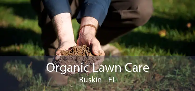Organic Lawn Care Ruskin - FL