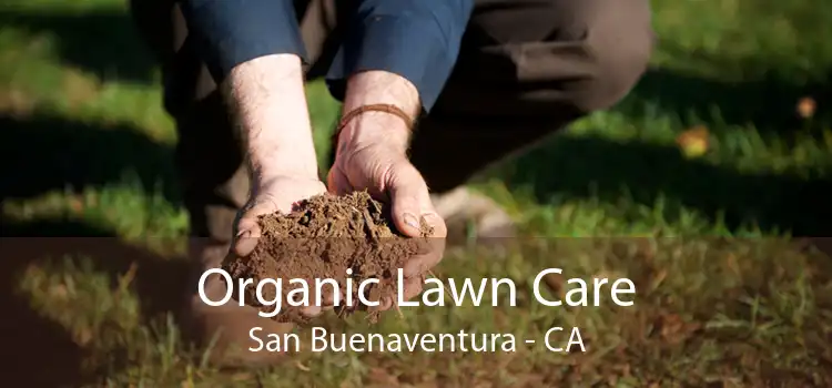 Organic Lawn Care San Buenaventura - CA