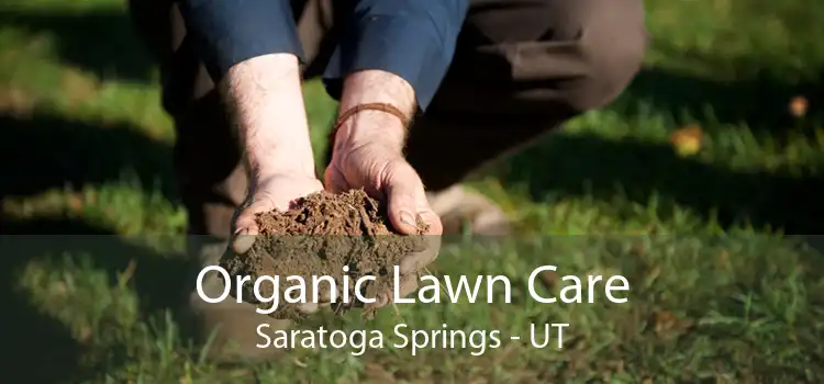 Organic Lawn Care Saratoga Springs - UT