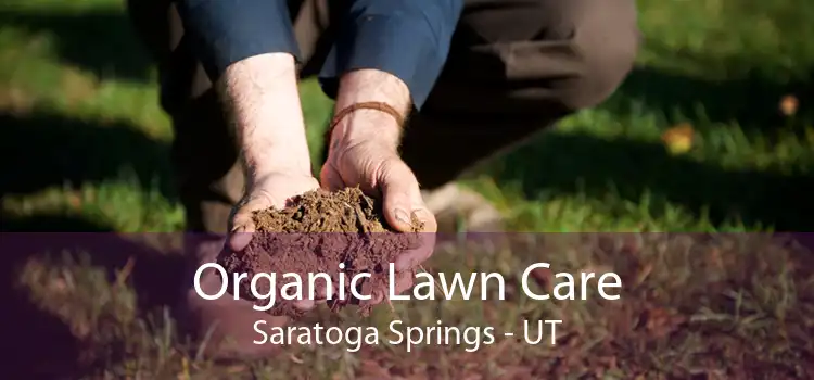  Organic Lawn Care Saratoga Springs - UT