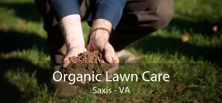 Organic Lawn Care Saxis - VA