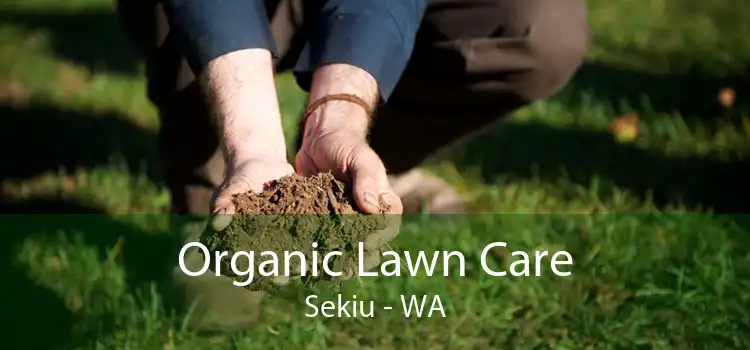 Organic Lawn Care Sekiu - WA