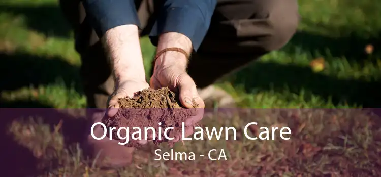 Organic Lawn Care Selma - CA