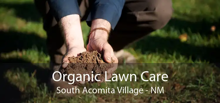 Organic Lawn Care South Acomita Village - NM