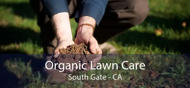 Organic Lawn Care South Gate - CA