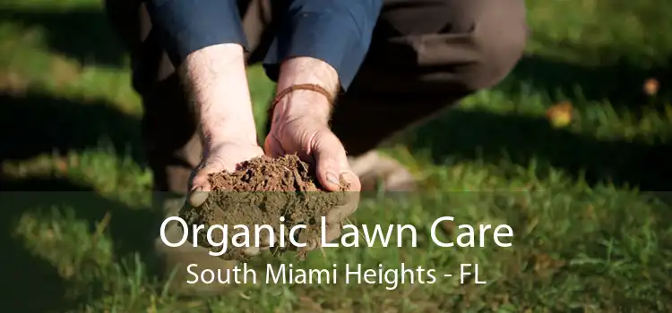 Organic Lawn Care South Miami Heights - FL