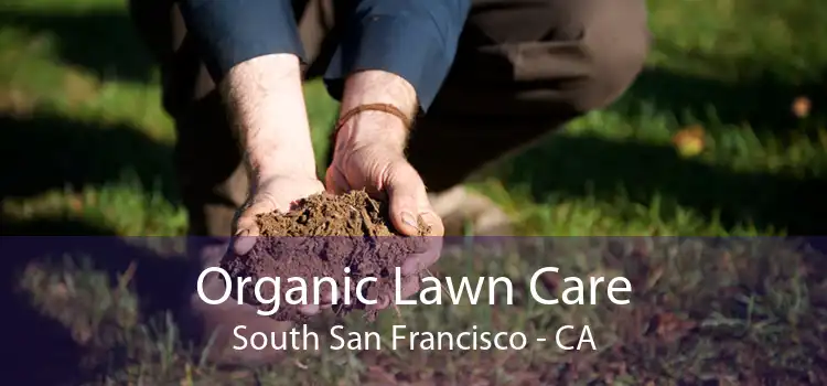 Organic Lawn Care South San Francisco - CA