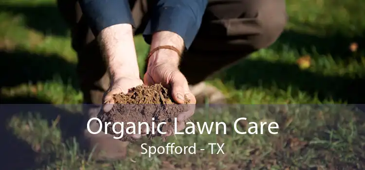 Organic Lawn Care Spofford - TX