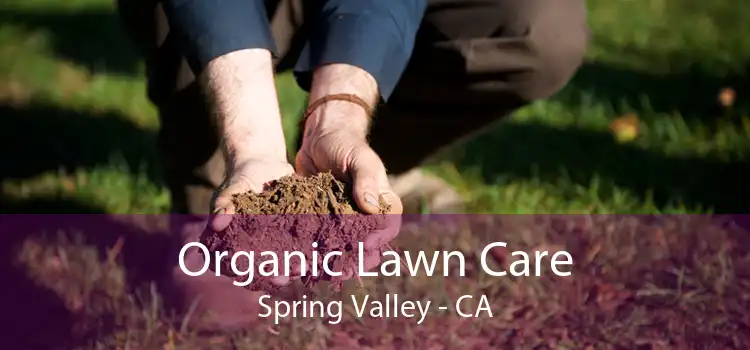 Organic Lawn Care Spring Valley - CA