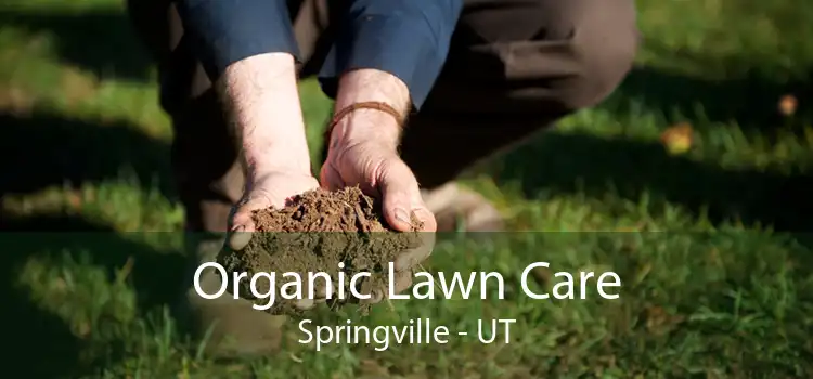 Organic Lawn Care Springville - UT