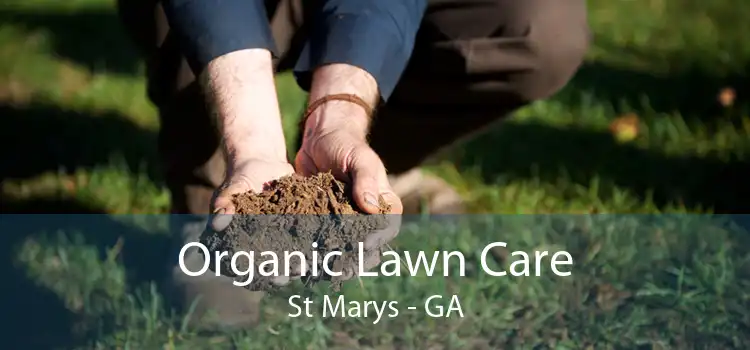 Organic Lawn Care St Marys - GA