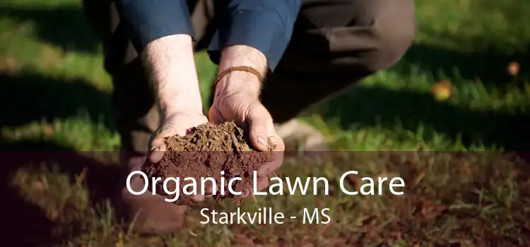 Organic Lawn Care Starkville - MS