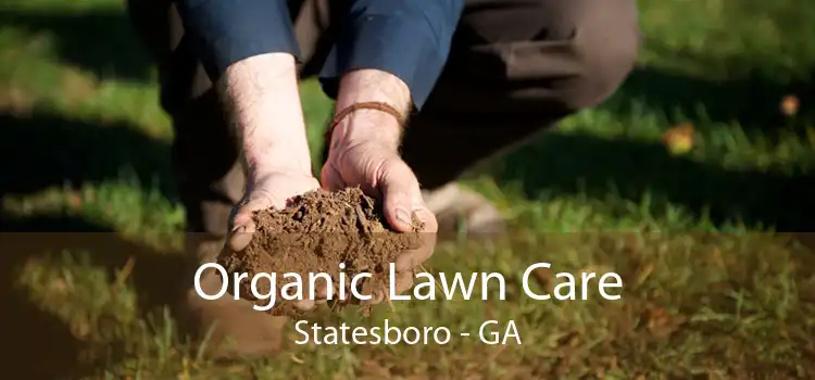 Organic Lawn Care Statesboro - GA