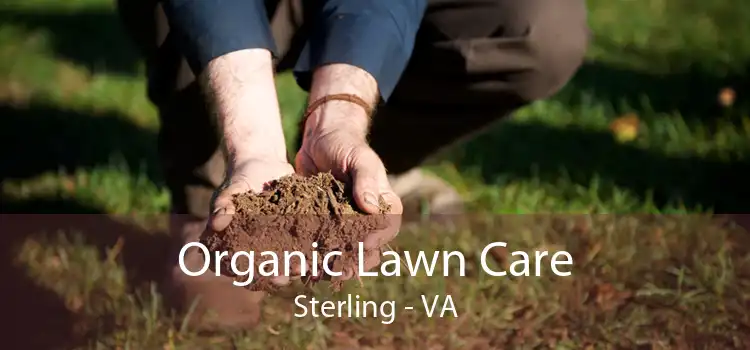 Organic Lawn Care Sterling - VA