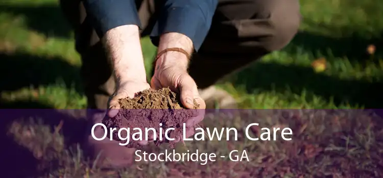Organic Lawn Care Stockbridge - GA