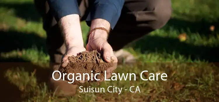 Organic Lawn Care Suisun City - CA