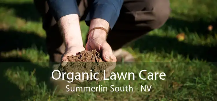 Organic Lawn Care Summerlin South - NV