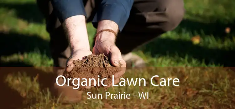  Organic Lawn Care Sun Prairie - WI