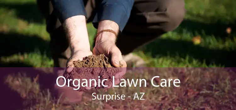 Organic Lawn Care Surprise - AZ