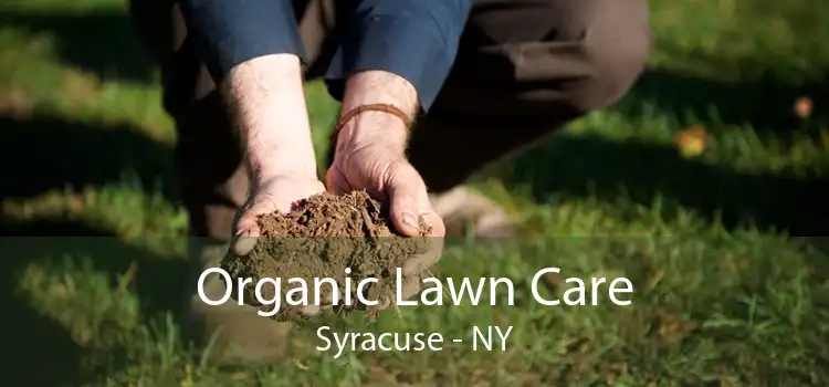 Organic Lawn Care Syracuse - NY