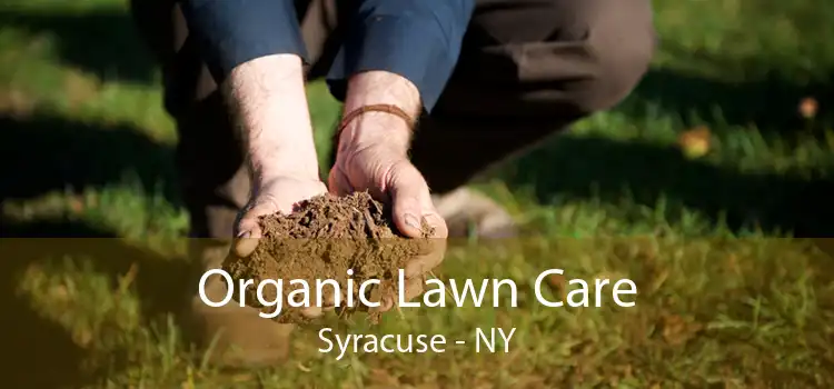 Organic Lawn Care Syracuse - NY