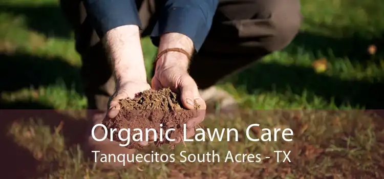 Organic Lawn Care Tanquecitos South Acres - TX