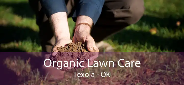  Organic Lawn Care Texola - OK