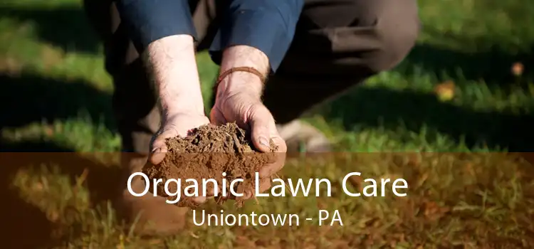 Organic Lawn Care Uniontown - PA