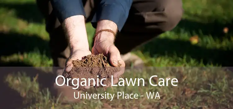 Organic Lawn Care University Place - WA