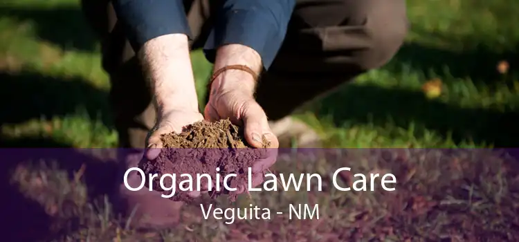 Organic Lawn Care Veguita - NM