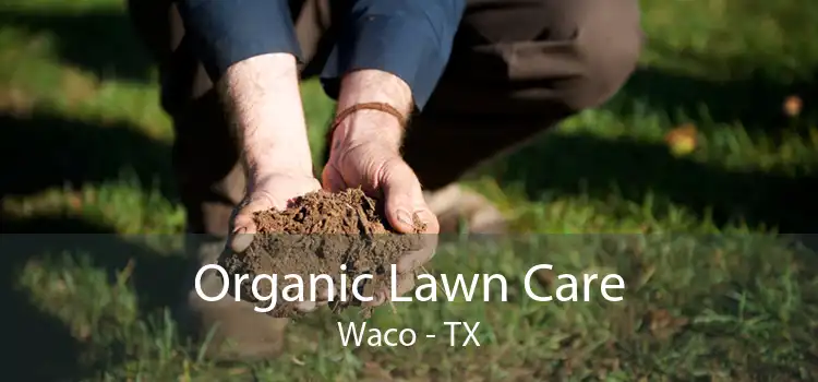 Organic Lawn Care Waco - TX