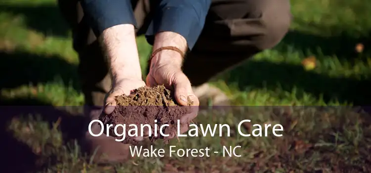 Organic Lawn Care Wake Forest - NC