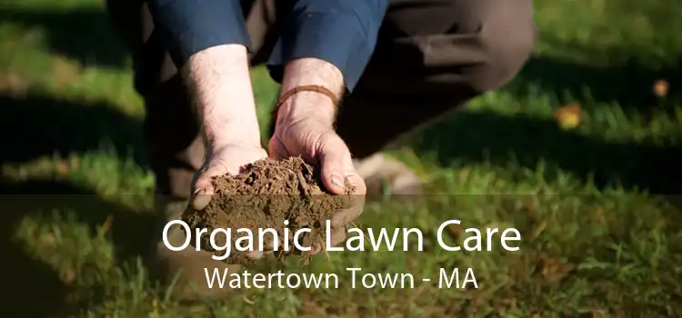Organic Lawn Care Watertown Town - MA