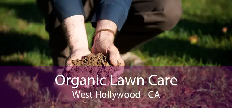 Organic Lawn Care West Hollywood - CA
