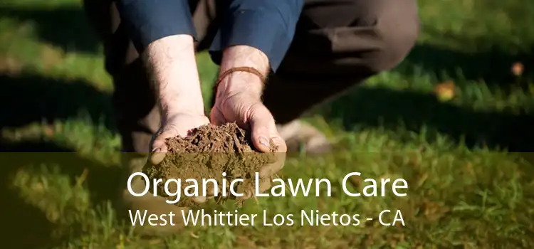 Organic Lawn Care West Whittier Los Nietos - CA